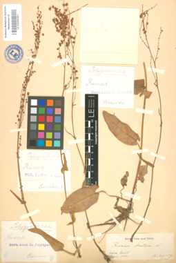 LE 01004383
