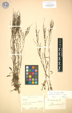 LE 01004385