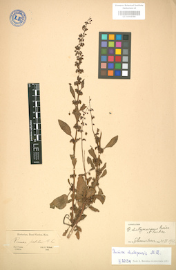LE 01004389