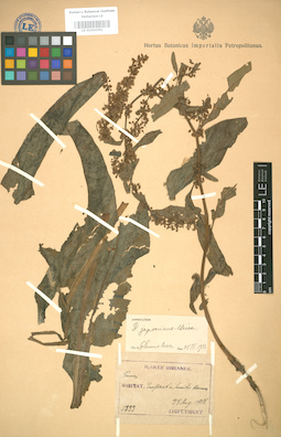 LE 01004391