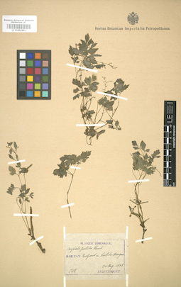 LE 01004401