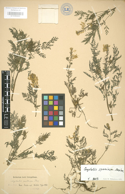 LE 01004402