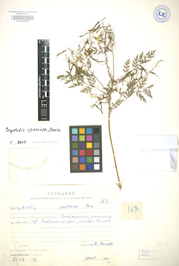 LE 01004403