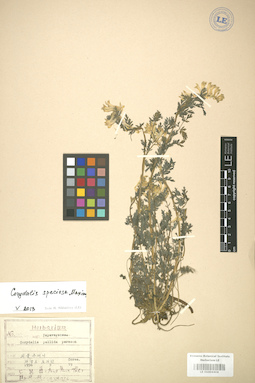 LE 01004404