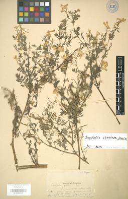 LE 01004405