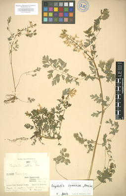 LE 01004406