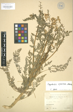LE 01004407