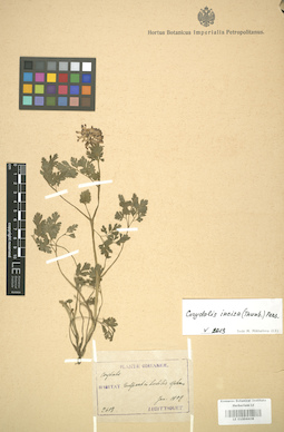 LE 01004408