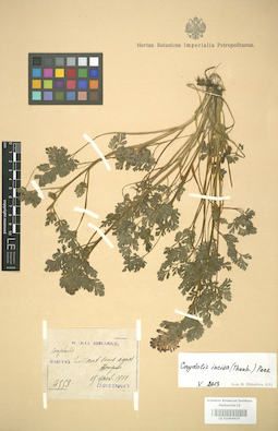 LE 01004410