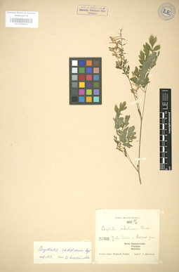LE 01004414