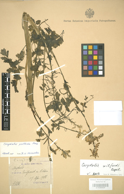LE 01004420