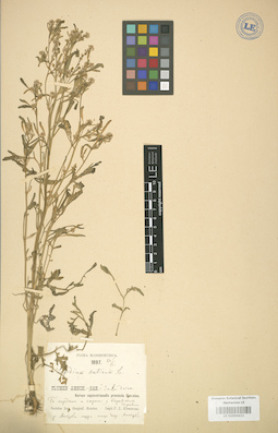 LE 01004422