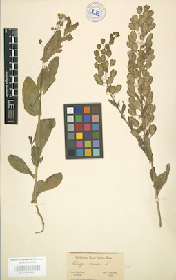 LE 01004424