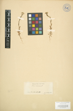 LE 01004425