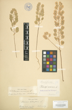 LE 01004426