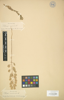 LE 01004427