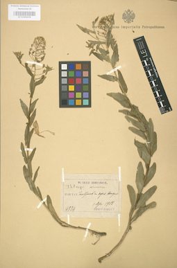 LE 01004428