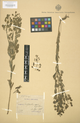 LE 01004429
