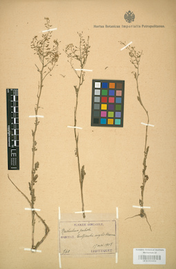 LE 01004454