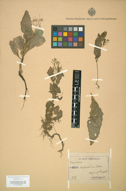 LE 01004455