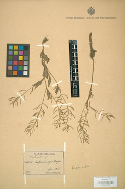 LE 01004458