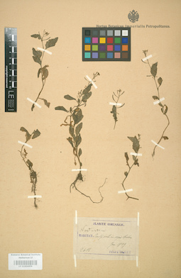 LE 01004459