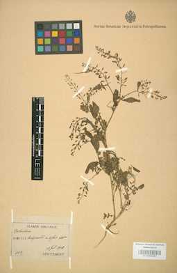 LE 01004460
