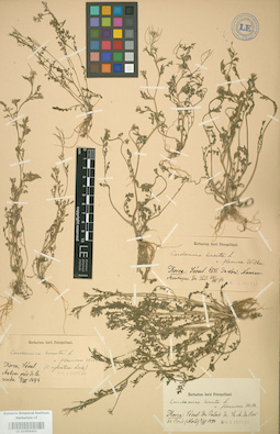 LE 01004461