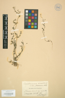 LE 01004462
