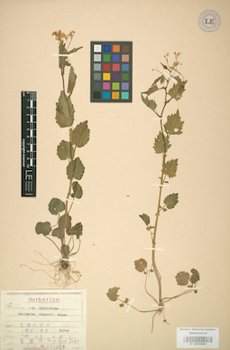 LE 01004463