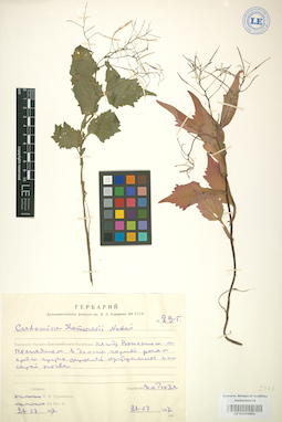 LE 01004464