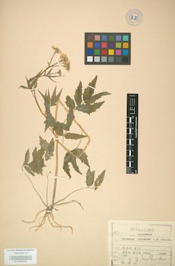 LE 01004465