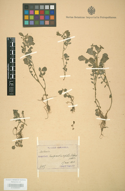 LE 01004467
