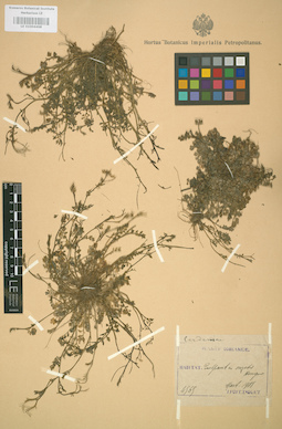 LE 01004468