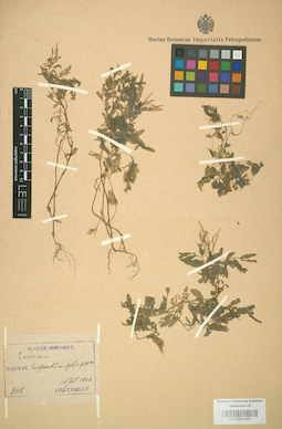 LE 01004469