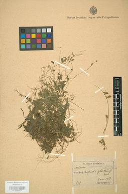 LE 01004471