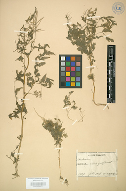 LE 01004472
