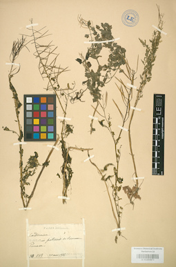 LE 01004473
