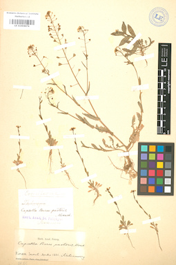 LE 01004474