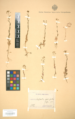 LE 01004476