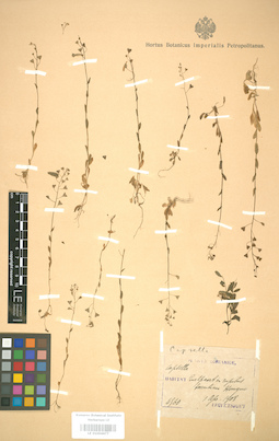 LE 01004477