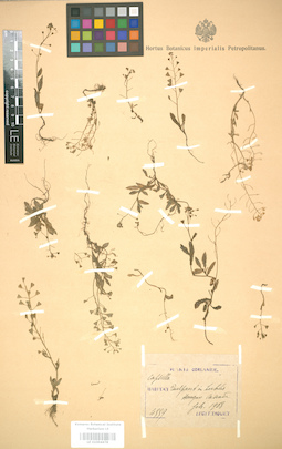 LE 01004478