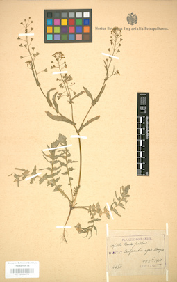 LE 01004479