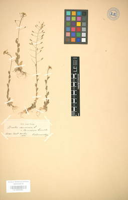 LE 01004481