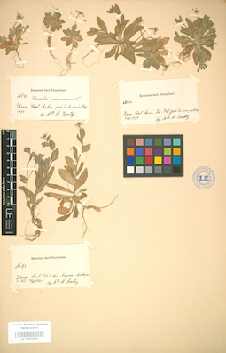 LE 01004482