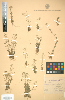 LE 01004485