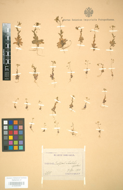 LE 01004486