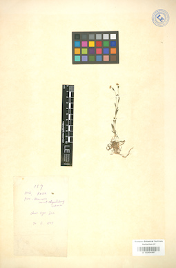 LE 01004487