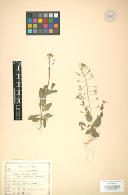 LE 01004489