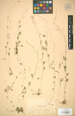 LE 01004490
